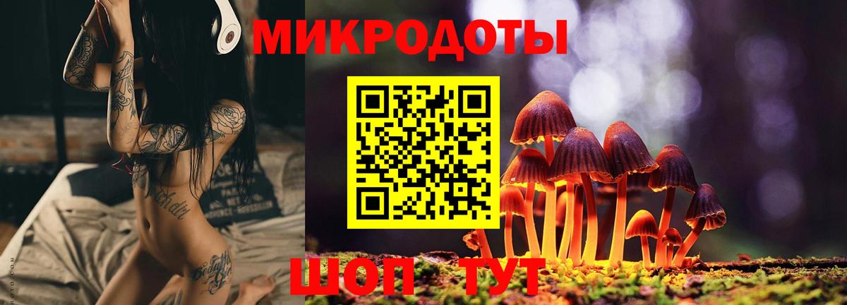 Псилоцибиновые грибы мицелий Протвино