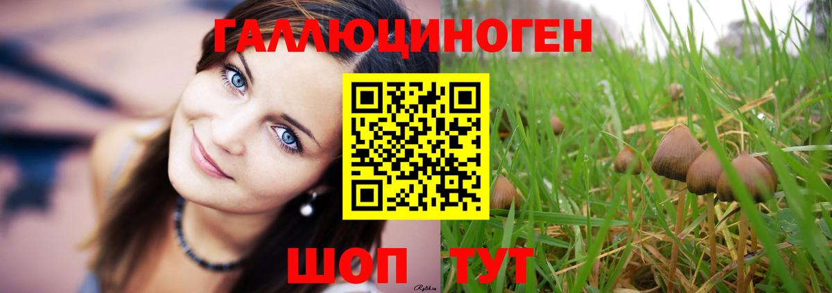 Галлюциногенные грибы Magic Shrooms  купить наркоту  Вход с VPN  Протвино  Галлюциногенные грибы прущие грибы 